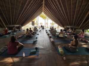 yoga retreats Zenitud