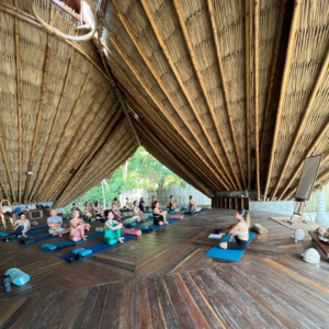 yoga retreats